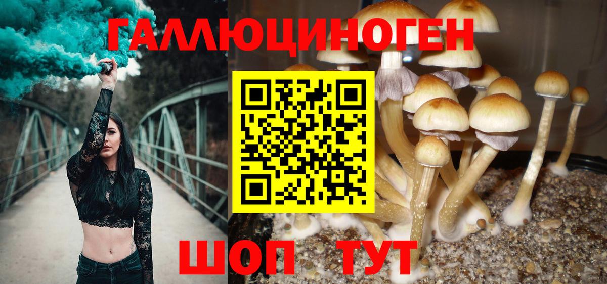Псилоцибиновые грибы GOLDEN TEACHER  Вход с VPN  Елец 
